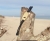 biżuteria surferska
