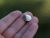 sea style shell