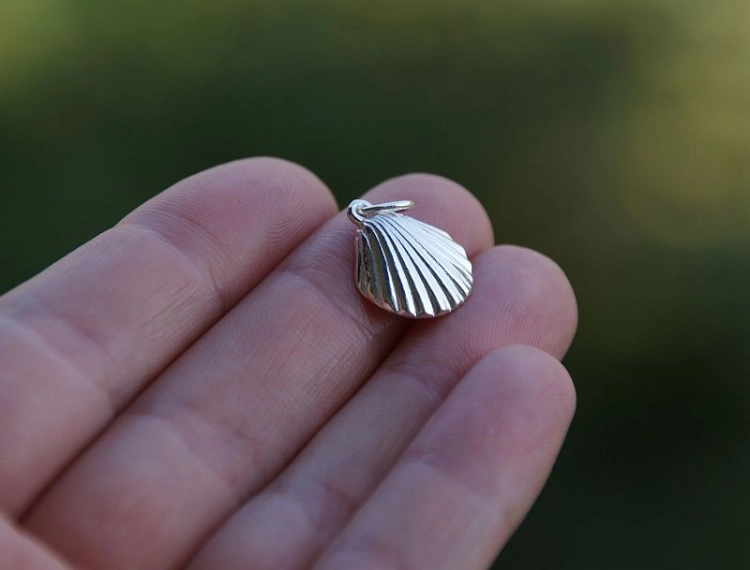 sea style shell