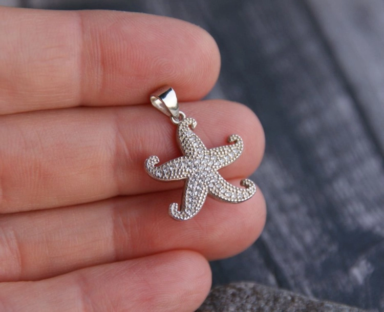 silver starfish